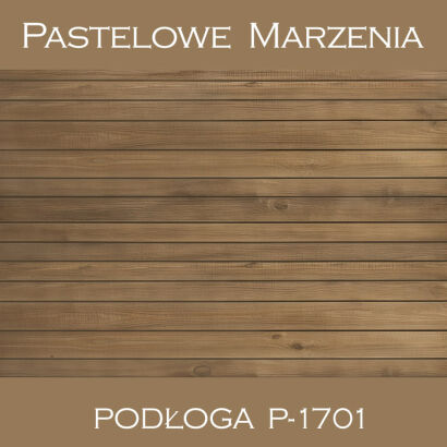 Vinyl photographic background, boards p_1701