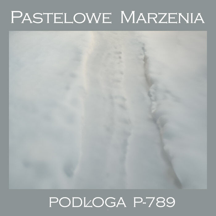 Tło fotograficzne winylowe, śnieg p_789