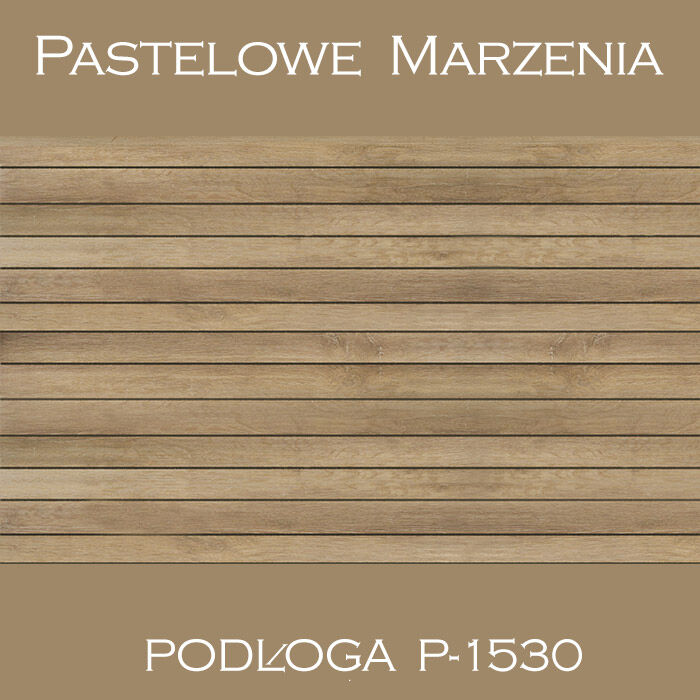 Vinyl photographic background, boards p_1530