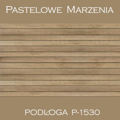 Vinyl photographic background, boards p_1530