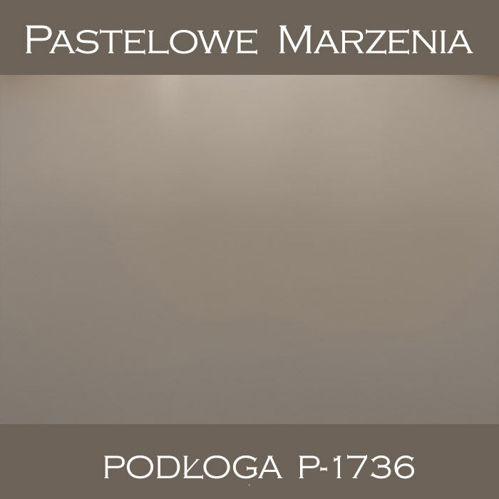 Vinyl photographic background, other p_1736
