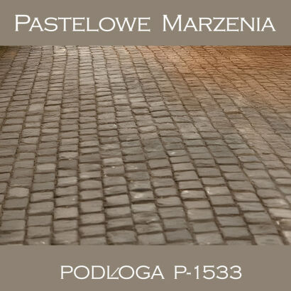 Vinyl photographic background, pavement p_1533