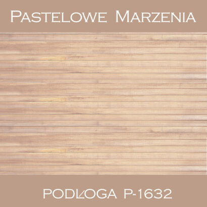 Vinyl photographic background, boards p_1632