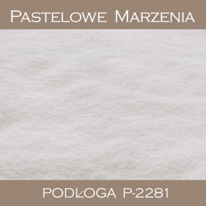 Tło fotograficzne winylowe, śnieg p_2281