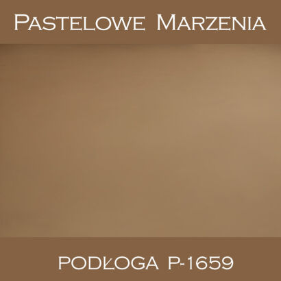 Vinyl photographic background, other p_1659