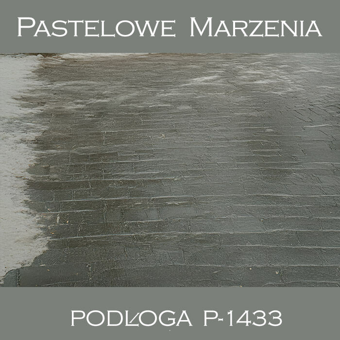 Photographic vinyl backdrop, pavement p_1433