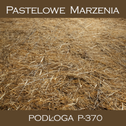 Photographic background