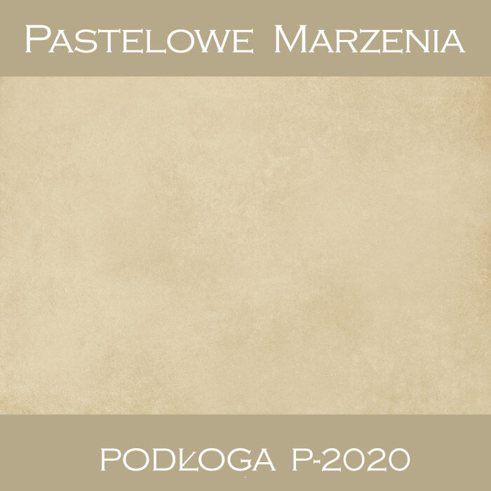 Vinyl photographic background, other p_2020