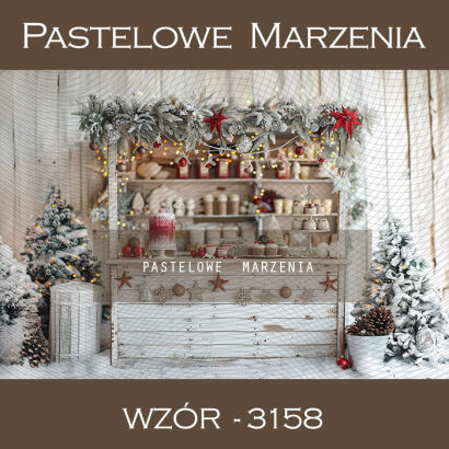 Photographic backdrop for Christmas with cabinet t_3158