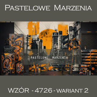 School photographic background with graffiti t_4726 - 2