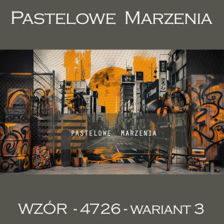 School photographic background with graffiti t_4726 - 3