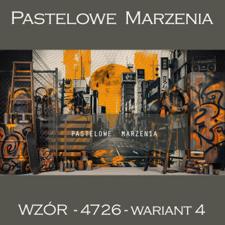 School photographic background with graffiti t_4726 - 4