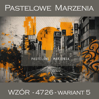 School photographic background with graffiti t_4726 - 5