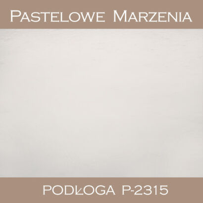 Vinyl photographic background, snow p_2315