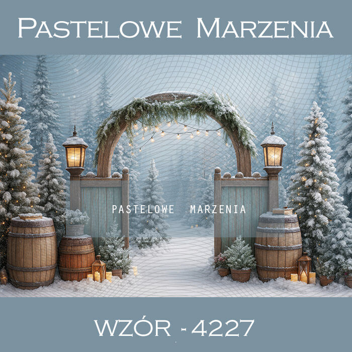 Christmas Photography Background with Arch t_4227