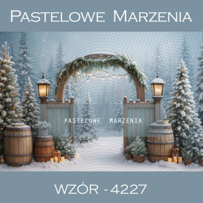 Christmas Photography Background with Arch t_4227
