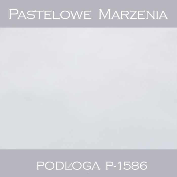 Tło fotograficzne winylowe, śnieg p_1586