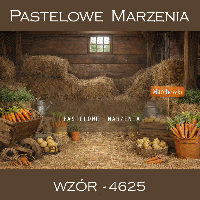 Spring photographic background with a farm t_4625