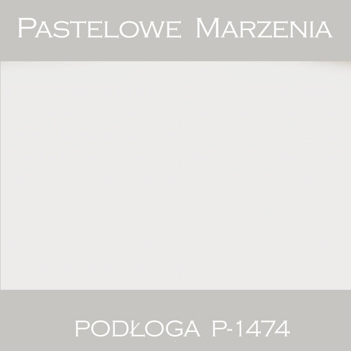 Tło fotograficzne winylowe, śnieg p_1474