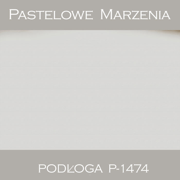 Tło fotograficzne winylowe, śnieg p_1474
