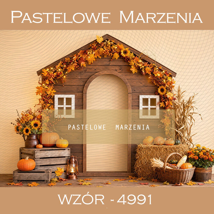 Autumn photographic background with sunflowers t_4991