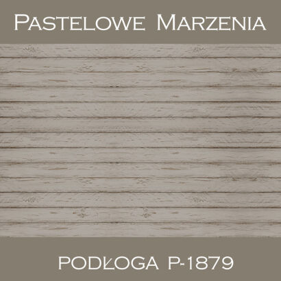 Vinyl photographic background, boards p_1879