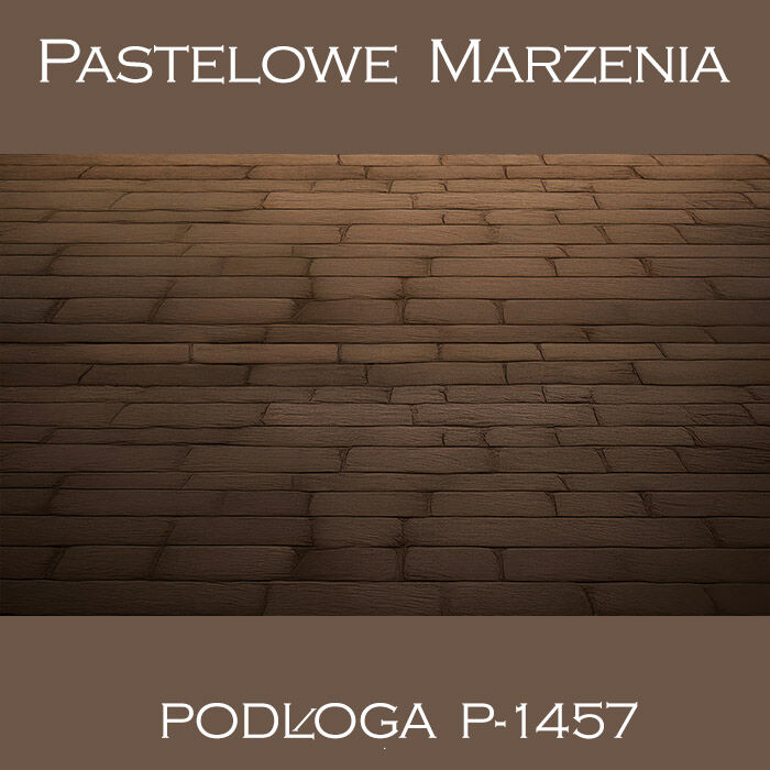 Photographic vinyl backdrop, pavement p_1457