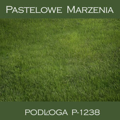Photographic vinyl backdrop, grass p_1238