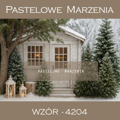 Tło fotograficzne brama zimowa t_4204