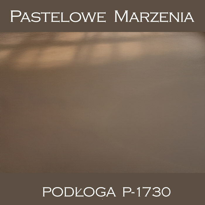 Vinyl photographic background, other p_1730