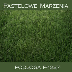 Photographic vinyl backdrop, grass p_1237