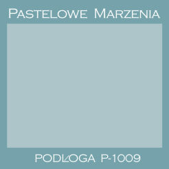 Photographic vinyl backdrop, plain p_1009