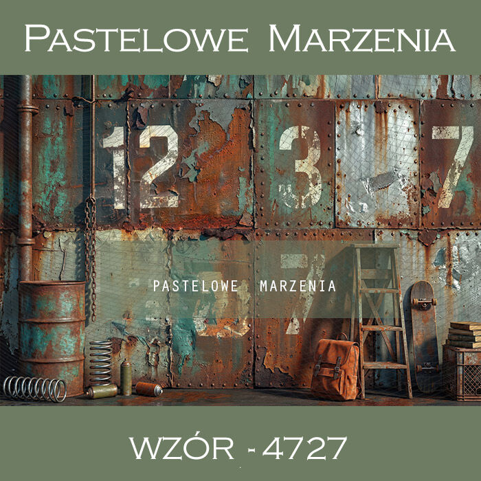 School photographic background with wall t_4727
