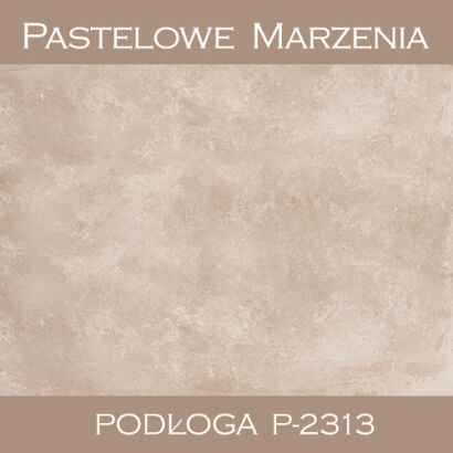 Vinyl photographic background, concrete p_2313
