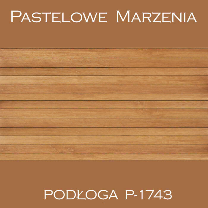 Vinyl photographic background, boards p_1743