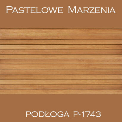 Vinyl photographic background, boards p_1743