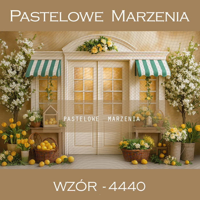 Tło fotograficzne wiosenne z drzwiami t_4440