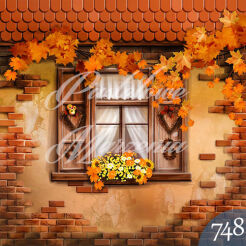 Photographic backdrop