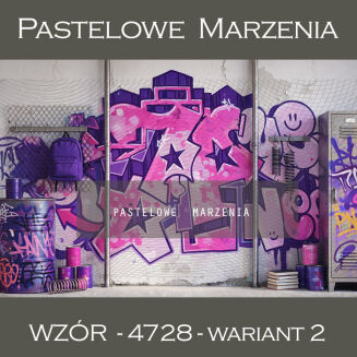 School photographic background with graffiti t_4728 - 2