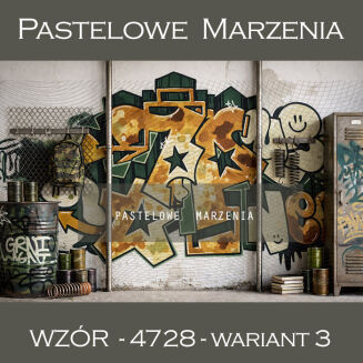 School photographic background with graffiti t_4728 - 3