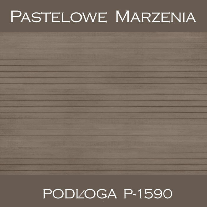 Vinyl photographic background, boards p_1590
