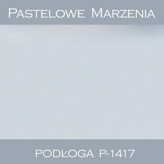 Tło fotograficzne winylowe, śnieg p_1417