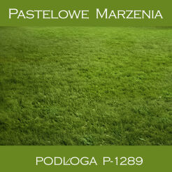 Photographic vinyl backdrop, grass p_1289