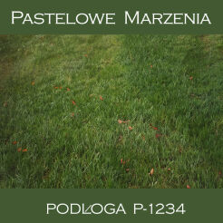 Photographic vinyl backdrop, grass p_1234