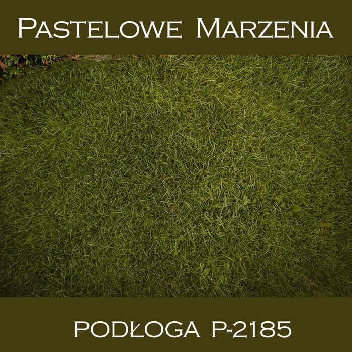 Vinyl photographic background, grass p_2185
