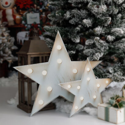 Bright Christmas star 1 pc. o_250