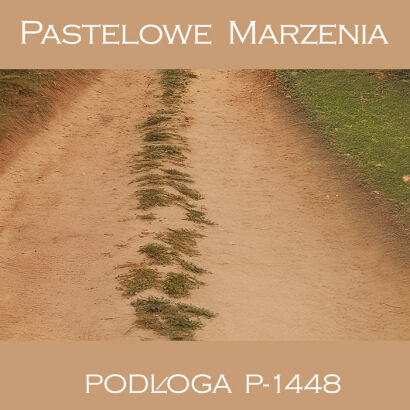Photographic vinyl backdrop, pavement p_1448