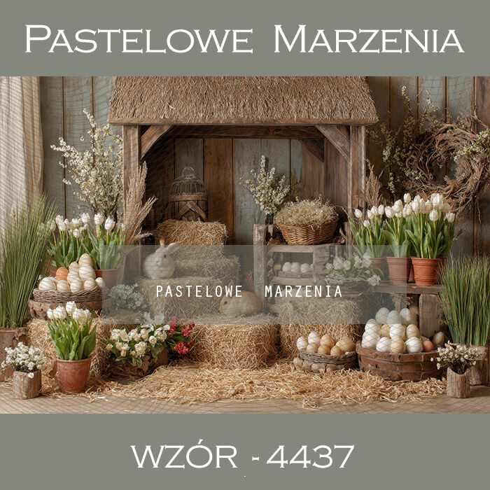 Tło fotograficzne wiosenne z jajkami t_4437