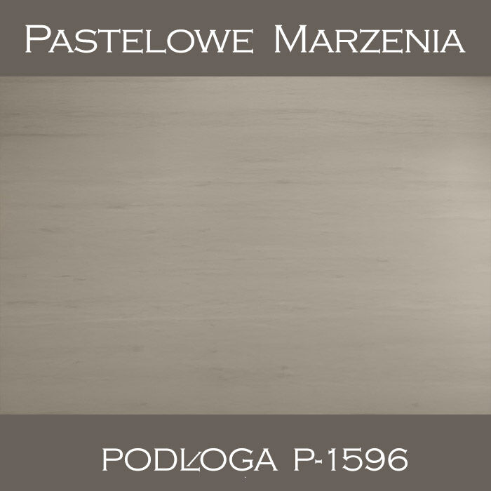 Vinyl photographic background, boards p_1596