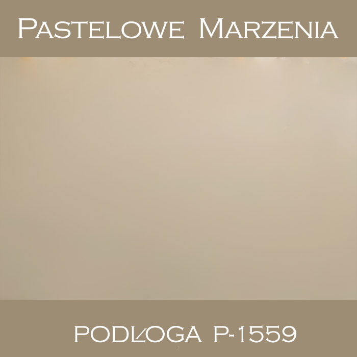 Tło fotograficzne winylowe, cieniowane p_1559